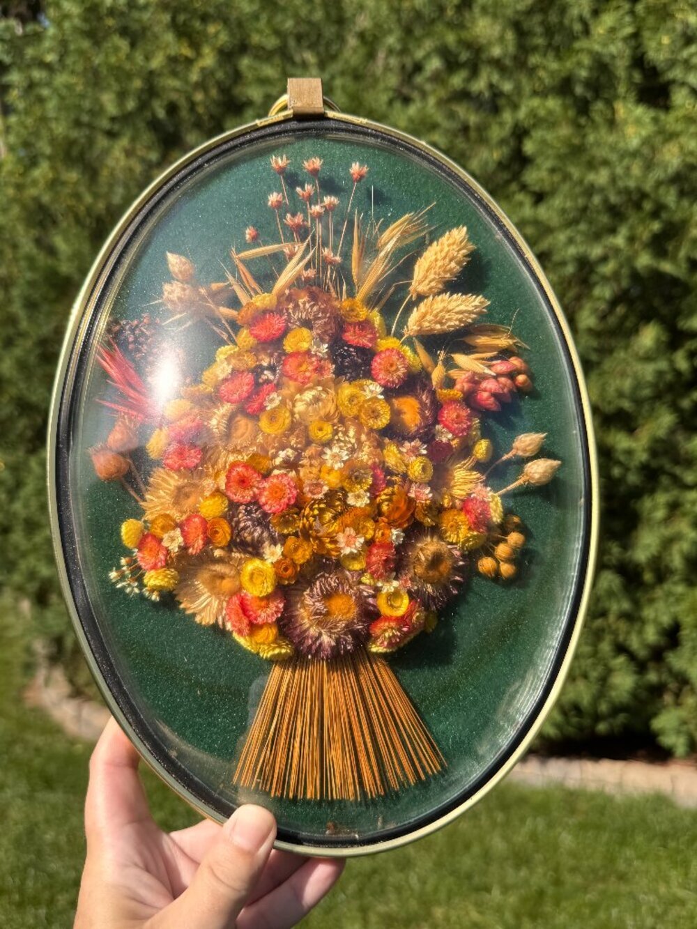 Vintage Cideart Belgium Dried Flower Wall Art